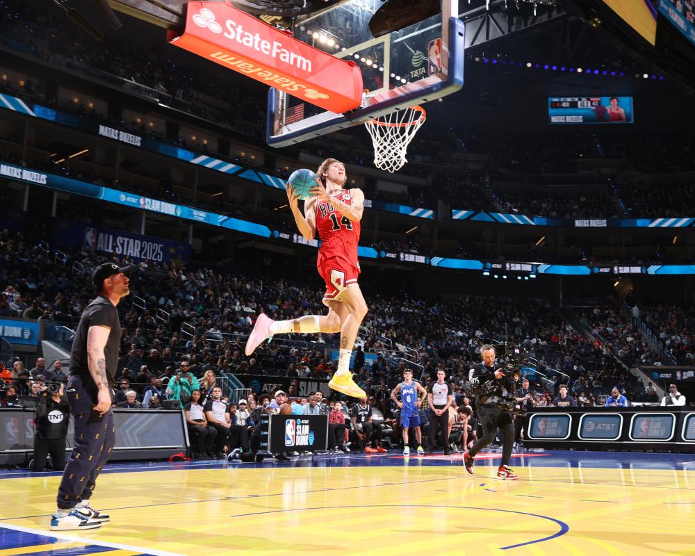 其中包括 其中包括