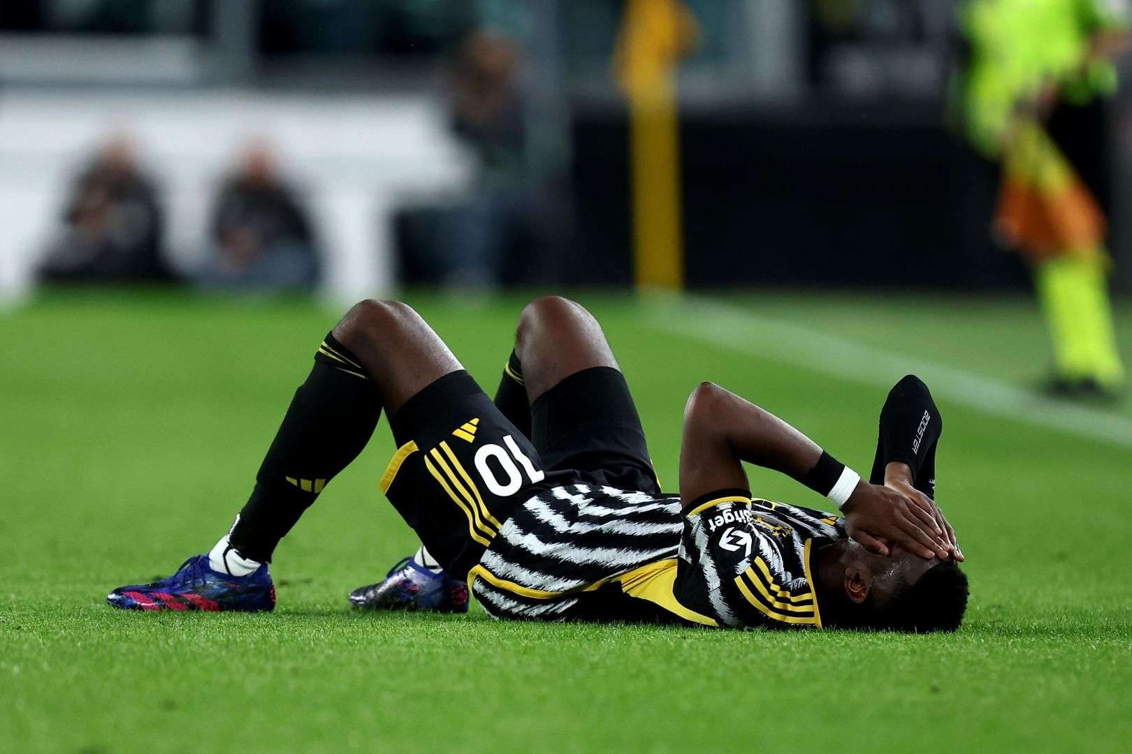 城上半场采 城上半场采